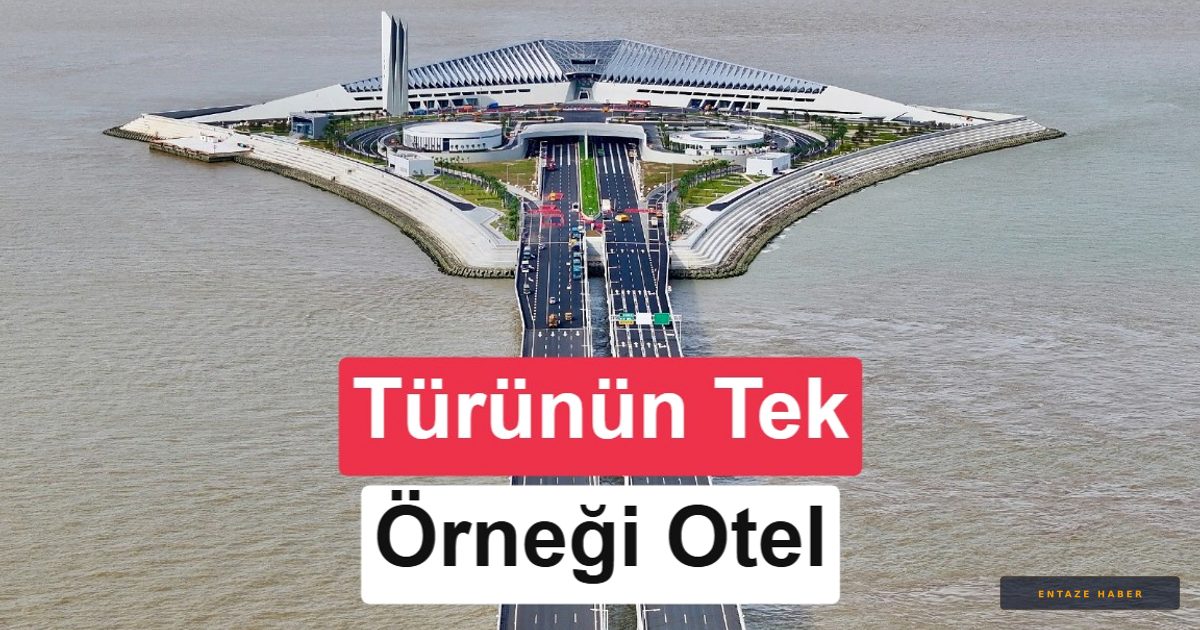 İnsan Eli Değmeyecek: Dünyanın İlk Tamamen Robotik Oteli İçin Geri Sayım Başladı