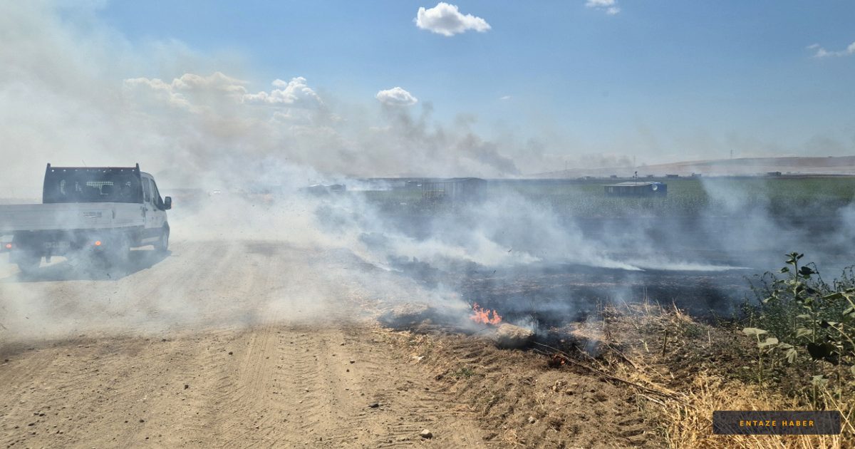 Tekirdağ’da Hasat Zamanı Kabus: 90 Dekar Buğday Kül Oldu