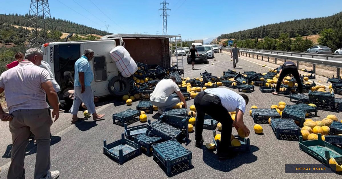 İslahiye'de Hasat Yola Saçıldı: 2 Ton Kavun Kazayla Zayi Olmaktan Kurtarıldı