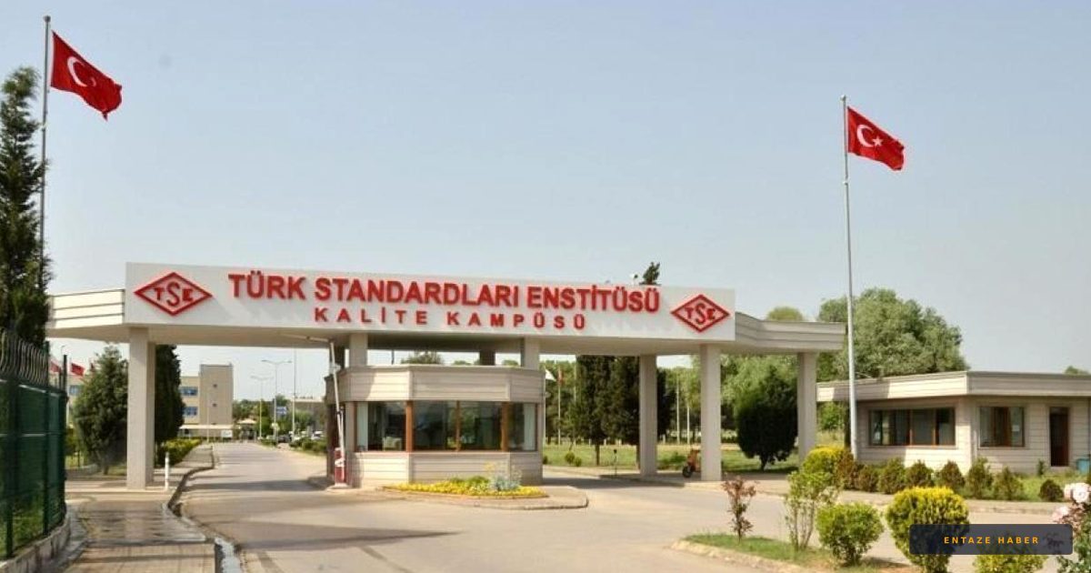 TSE’den İthalat Hamlesi: 5 Bin 800 Güvensiz Ürün Kapıdan Döndü