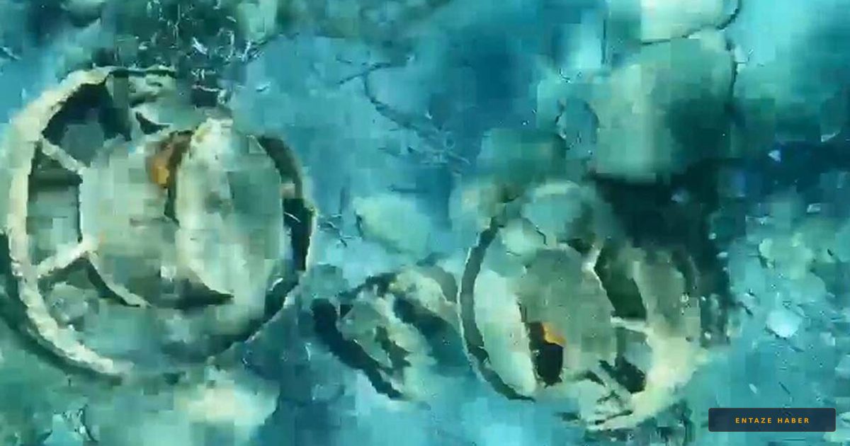 Datça’da Deniz Keyfi Kabusa Dönüyordu: 80 Yıllık Tehlike Kıyıdan Çıktı